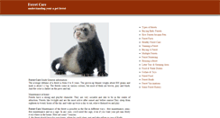 Desktop Screenshot of ferretcare.org