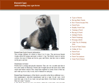 Tablet Screenshot of ferretcare.org
